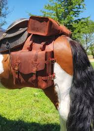 Horse Saddle Bags
